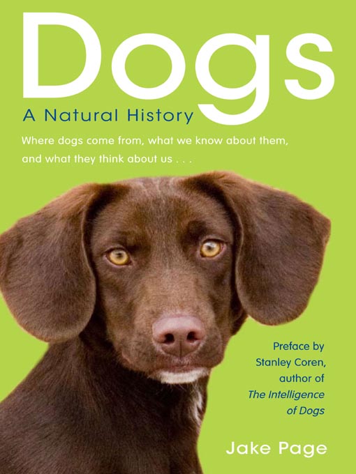Cover image for Dogs